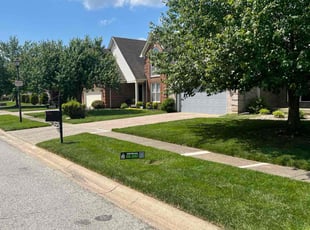 Zofia M.'s lawn care service result