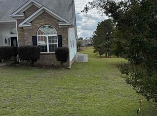 Rob D.'s grass cutting service result