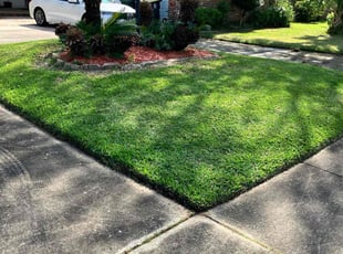 Jason M.'s turf maintenance service result