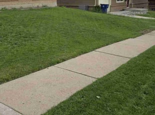 Kristen I.'s lawn maintenance service result