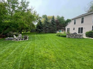 Violet A.'s lawn maintenance service result