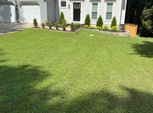 Lisa F.'s grass cutting service result