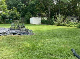 Noel P.'s Long Grass Cleanup service result