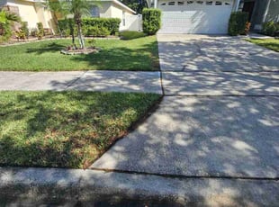 Elana H.'s turf care service result