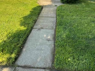 Robert B.'s lawn care services service result