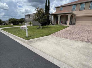 Alita C.'s yard maintenance service result