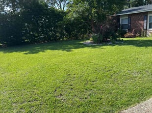 Theresa G.'s lawn service service result