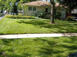 Joseph E.'s lawn care service result