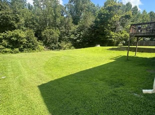 Dasha J.'s lawn care service result