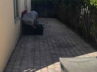 Mimi S.'s grass maintenance service result