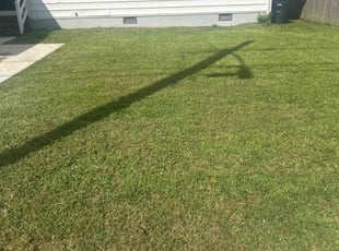 Christina S.'s grass cutting service result