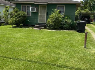 David T.'s turf maintenance service result