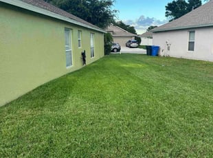 Chris A.'s lawn care service result