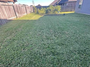 Ronnie S.'s lawn service service result