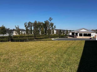 Sam P.'s turf maintenance service result