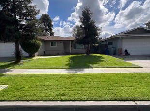 Kwincee L.'s grass cutting service result