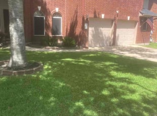 Johnetta E.'s turf maintenance service result