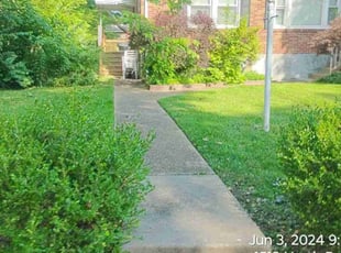 Michael S.'s turf care service result