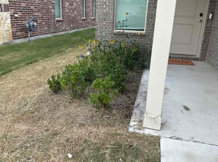 Whitney M.'s Flower Bed Weeding service result