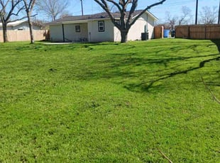 Nancy D.'s grass maintenance service result