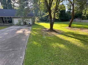 Andrew R.'s lawn care services service result