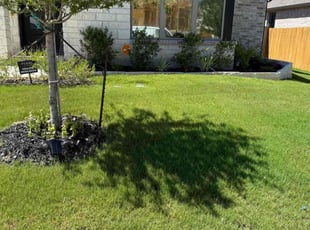 Omar O.'s residential landscaping service result