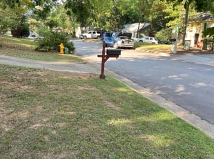 Swarnendu T.'s lawn care services service result