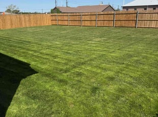 Joddie F.'s turf care service result