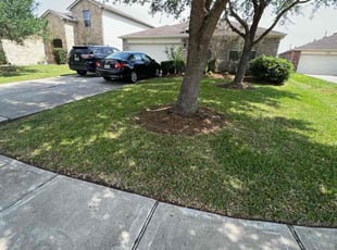 Sandra E.'s lawn care services service result