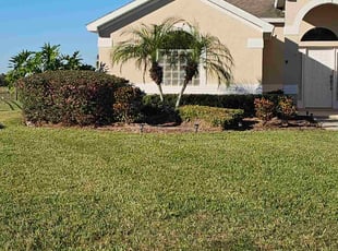 Shareka M.'s Bush Trimming service result