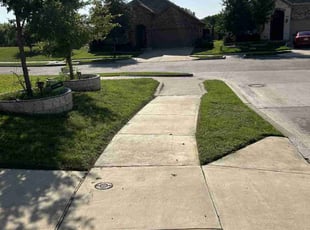 Jonathan H.'s lawn service service result