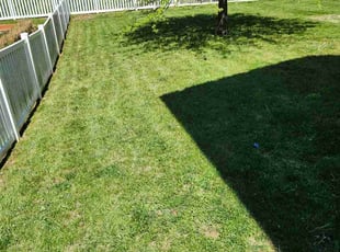 Ryan H.'s turf maintenance service result