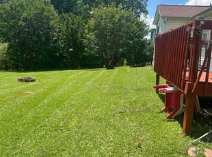 Brad J.'s lawn maintenance service result