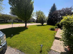 Veronica P.'s turf care service result