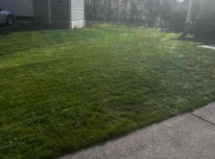 Ed S.'s lawn care service result