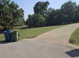 Ben M.'s grass maintenance service result