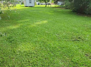 Terri T.'s grass maintenance service result