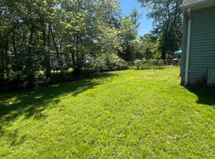 Julia L.'s lawn care services service result