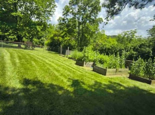 Walter S.'s turf care service result