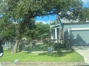 Judy S.'s turf maintenance service result