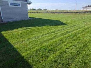 Rob S.'s grass cutting service result