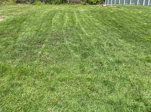 Kevin B.'s lawn maintenance service result