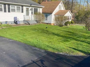 Sean N.'s landscaping services service result