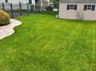Catherine H.'s lawn care services service result