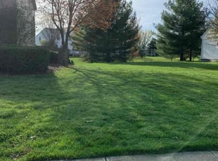 Debra H.'s lawn care service result
