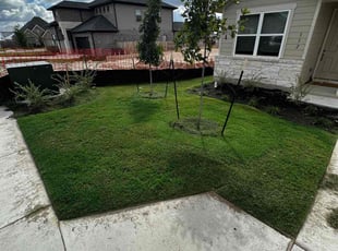 Latavya C.'s turf maintenance service result