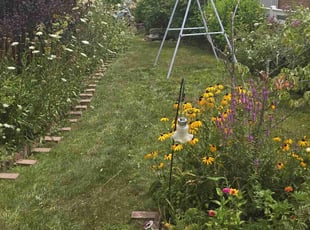 Laurie G.'s grass maintenance service result