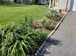 Mandy C.'s Flower Bed Weeding service result