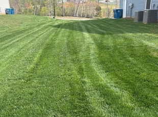 Jackie J.'s turf maintenance service result