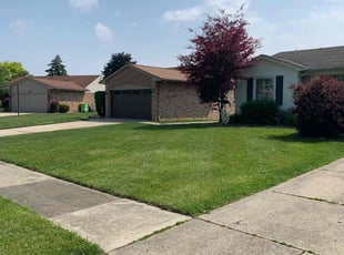 Luis H.'s lawn maintenance service result
